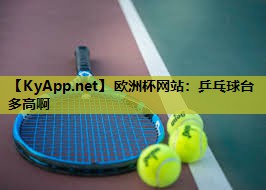 欧洲杯网站：乒乓球台多高啊
