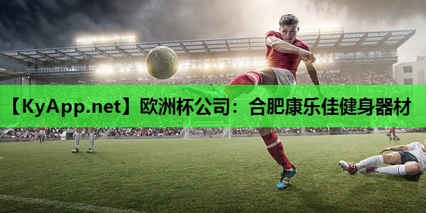 <strong>欧洲杯公司：合肥康乐佳健身器材</strong>