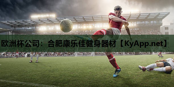 合肥康乐佳健身器材